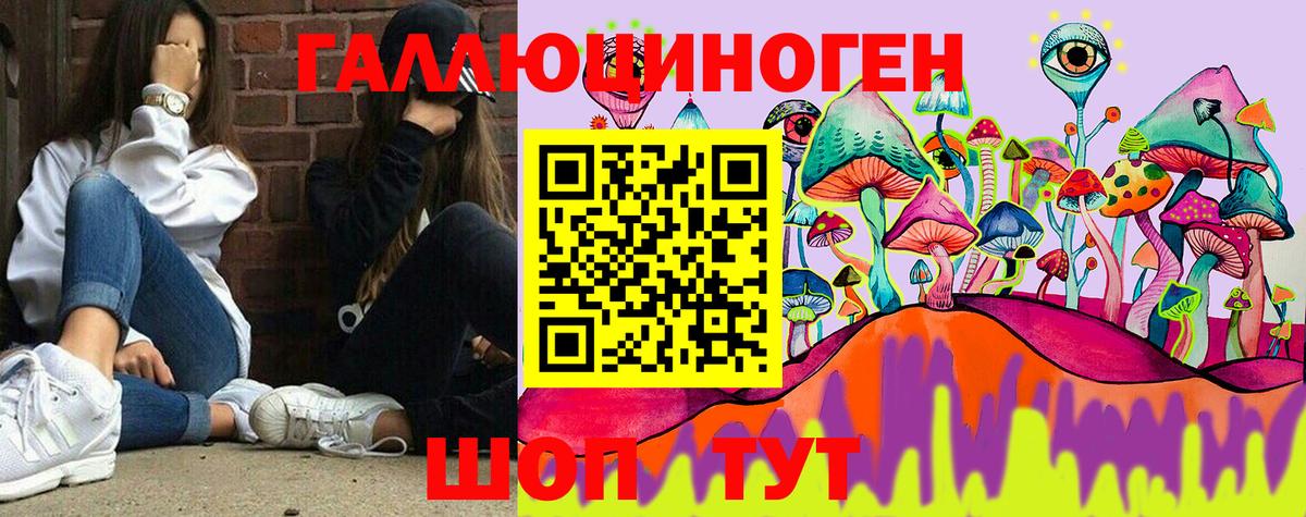 наркотики  Галлюциногенные грибы Psilocybine cubensis  Вход с VPN  Октябрьский 